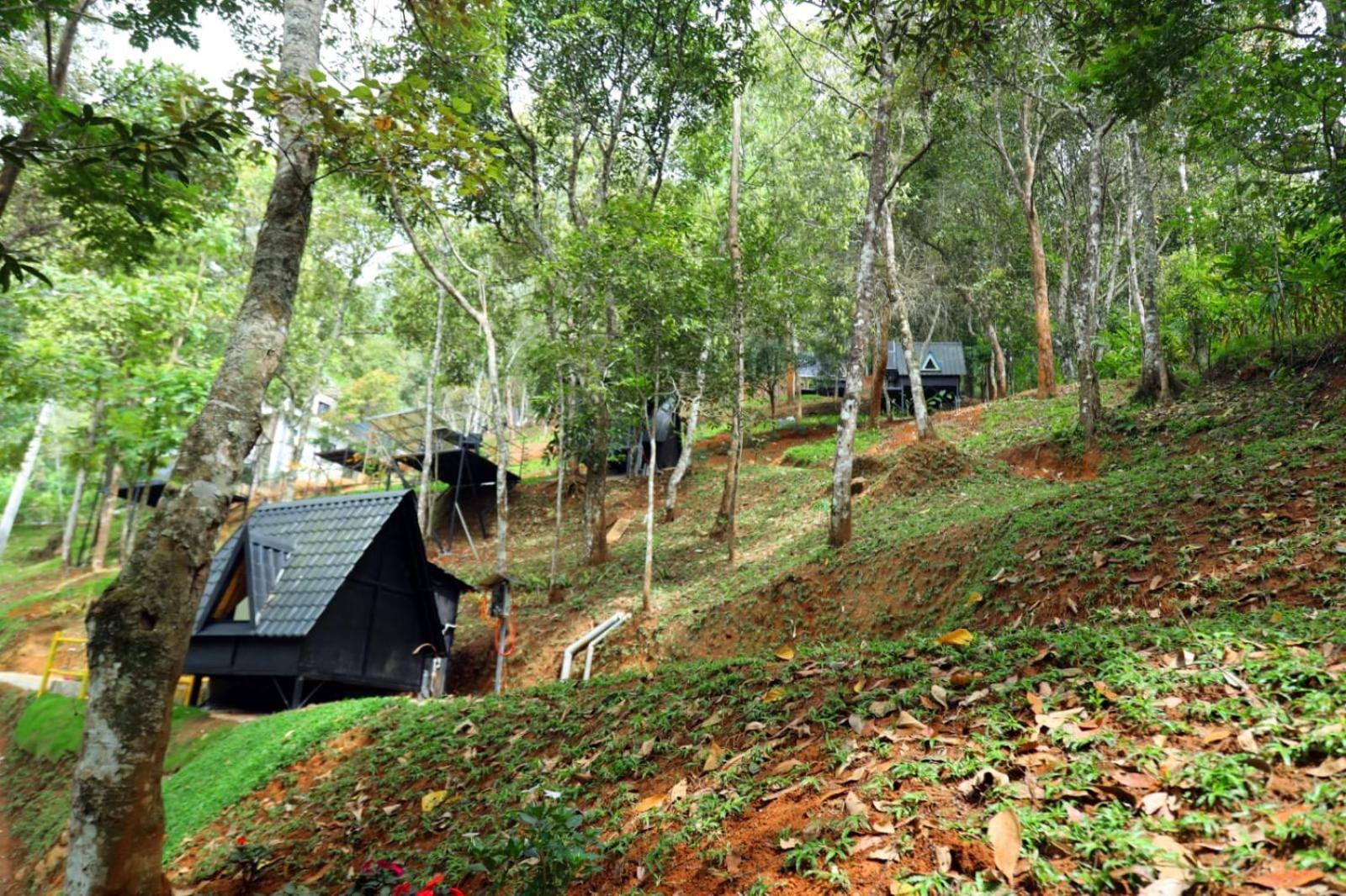 Garden Of Eden-Thottam Munnar-Hiking And Camping Anachal Εξωτερικό φωτογραφία