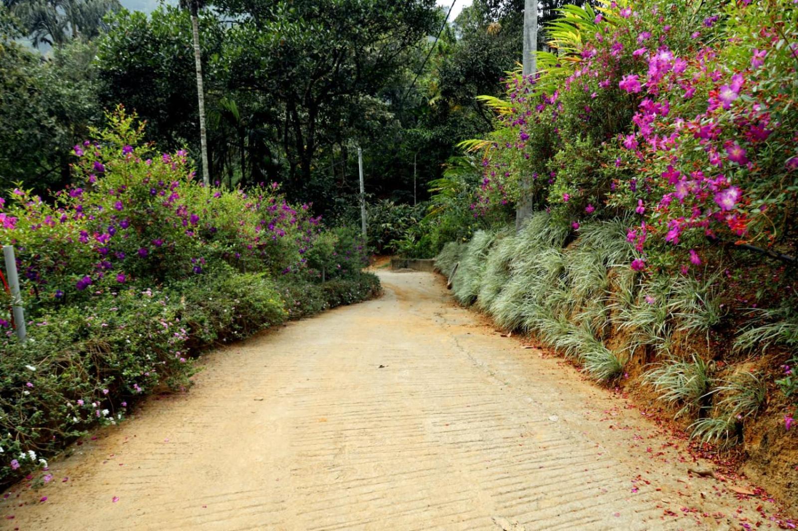 Garden Of Eden-Thottam Munnar-Hiking And Camping Anachal Εξωτερικό φωτογραφία