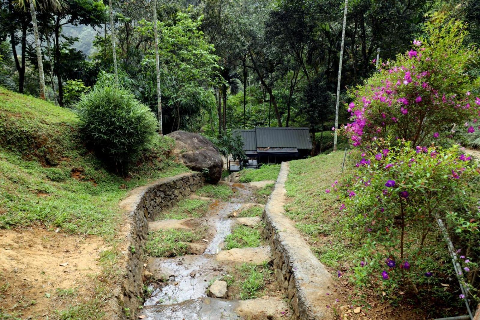 Garden Of Eden-Thottam Munnar-Hiking And Camping Anachal Εξωτερικό φωτογραφία