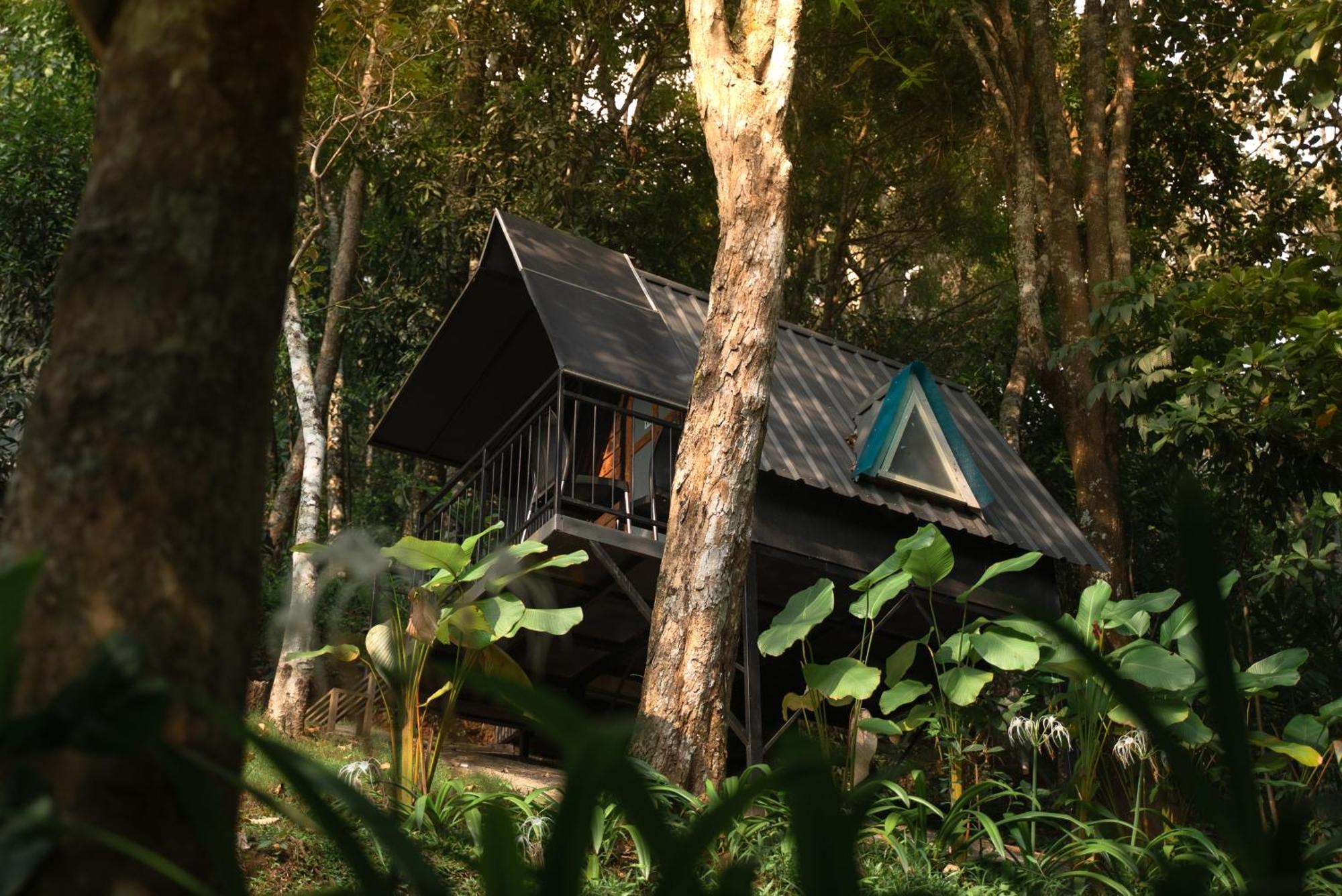 Garden Of Eden-Thottam Munnar-Hiking And Camping Anachal Εξωτερικό φωτογραφία