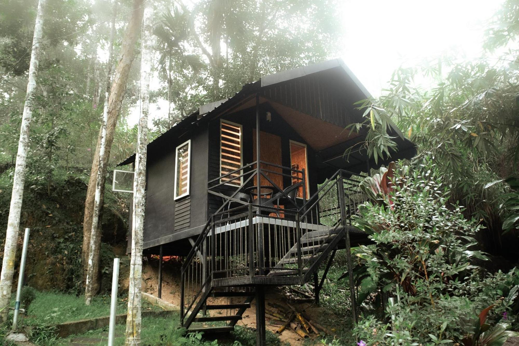 Garden Of Eden-Thottam Munnar-Hiking And Camping Anachal Εξωτερικό φωτογραφία