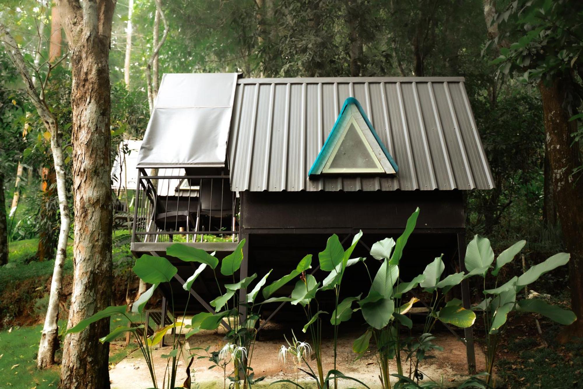 Garden Of Eden-Thottam Munnar-Hiking And Camping Anachal Εξωτερικό φωτογραφία